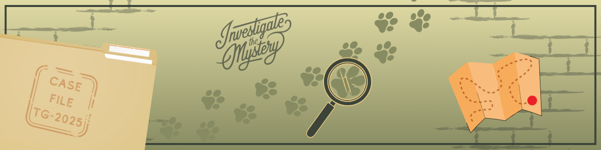  Investigate the Mystery footer image